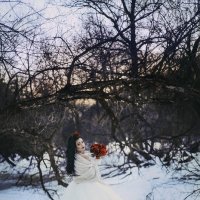 Wedding :: Ксения Дикая