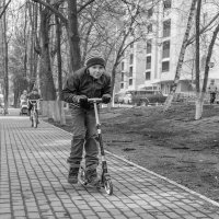 Курс Пашиса А.В. Законы, методы и приемы фотокомпозиции. :: Евгений Поляков