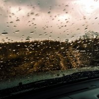 Весенний дождь :: Дмитрий Долгов