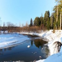 Медянка :: WINDKOS Ситников