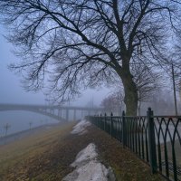 Туман :: Alexandr Яковлев
