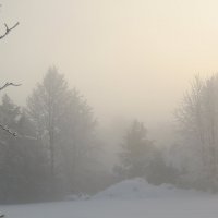 туманное зимнее утро :: Balakhnina Irina