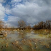 Панорама, весенний паводок. :: Виктор Гришенков