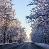 Зимняя дорога :: Алёнка Шапран