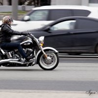 Harley Davidson :: Игорь А. Сироткин