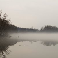 Весенний туман :: Ольга Семенова