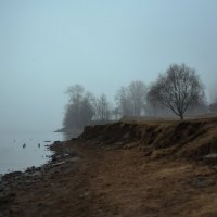Туманное утро в Санкт-Петербурге :: Таня Бакулина