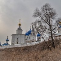 пасмурный апрель в Боголюбове :: Сергей Цветков