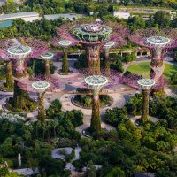 Gardens by the Bay. Singapore :: Евгений Землянухин