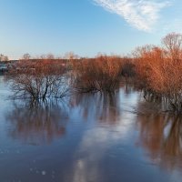 река Быстрица в разливе :: Ekatrina Kireeva