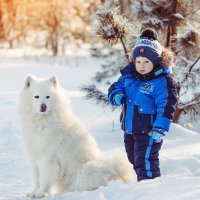 Прогулка с самоедом :: Светлана Светленькая