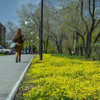 Весна в городе :: юрий Амосов