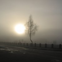 Туманное утро в ноябре :: Alena Cyargeenka