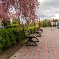 Ужгород перед Пасхой :: Сергей Форос