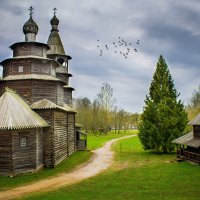 Музей деревянного зодчества в Великом Новгороде :: Арина Зотова