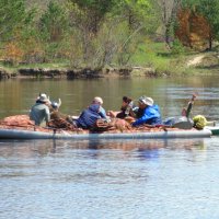 Покарители водных просторов. :: Людмила Ларина