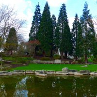 Hamburg. Planten un Blomen :: Nina Yudicheva