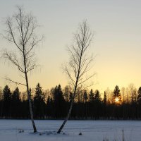 Последний день зимы :: Алёнка Шапран