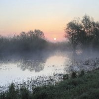 Рассвет на болоте :: Сергей Михайлович