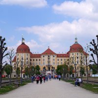Schloss Moritzburg :: Alex 