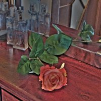 Роза и зеркала :: Lukum 