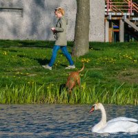 Каждому своё :: Леонид Соболев