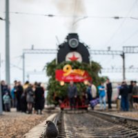 поезд Победы и голубь :: Татьяна Исаева-Каштанова
