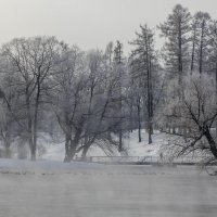 1 марта :: Алёнка Шапран