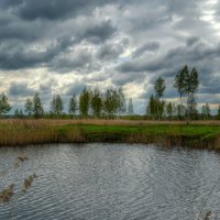 Озеро в камышах :: Милешкин Владимир Алексеевич 