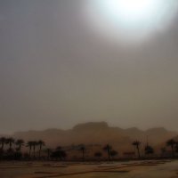 Песчаная буря :: M Marikfoto