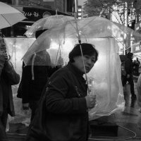 rainy Seoul (неореалистическая отстраненная 6-8) :: Sofia Rakitskaia