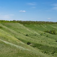 Окрестности моего города :: Игорь Сикорский