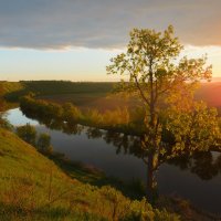 река "Красивая меча" Тульская область. :: Евгений Цап