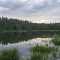 Вечернее озеро :: Владимир Филимонов