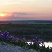 Весенний закат над Доном :: Александр Игнатьев