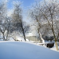 Зимний сад :: Леонид Железнов
