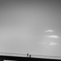 Мост над облаками :: Елена Васильева