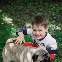 Благотворительная фотосессия "Добрый пес" :: Виктория Якукина