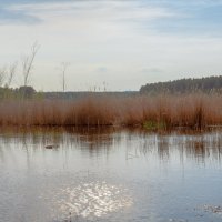 Вечер на оз. Б. Нанога :: Евгений Небензя