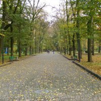 Осень  в  Ивано - Франковском  парке :: Андрей  Васильевич Коляскин