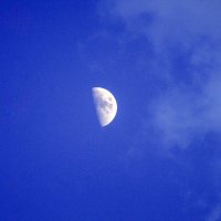 Луна :: Кирилл Кузнецов