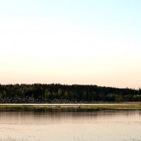 Финское озеро :: Евгения К