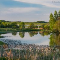 Разливы белого озера :: Борис Устюжанин