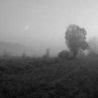 Луна купается в тумане. :: mike95 