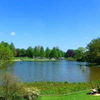 Planten un Blomen. Hamburg :: Nina Yudicheva