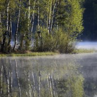 Майское утро..... :: Юрий Цыплятников