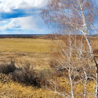 По дороге в Дубровку :: Виктор Выдрин