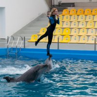 Одесский дельфинарий :: Сергей Форос