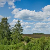 первый день лета :: Николай Мальцев