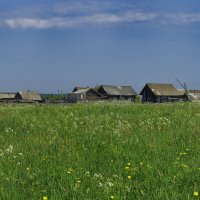 В платьице из полевого цвета деревенька колхозница! :: Владимир Максимов